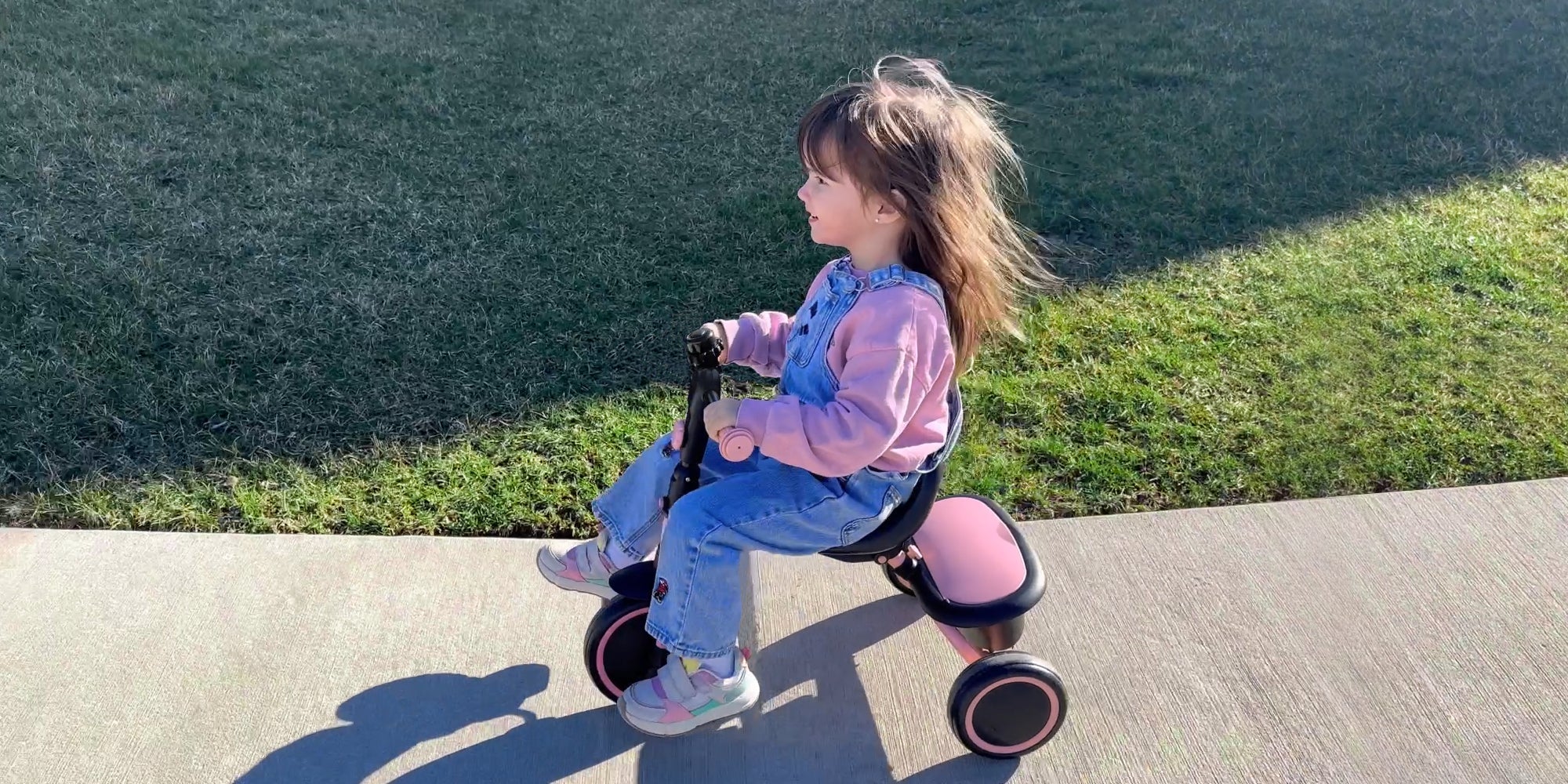 Toddler Tricycle: Why They Are a Must-Have for Toddlers